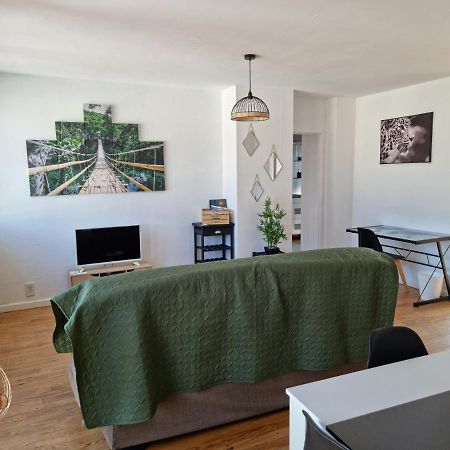 Appartement LE BELVEDERE vue Pyrénées, familiale, centre TARBES Extérieur photo